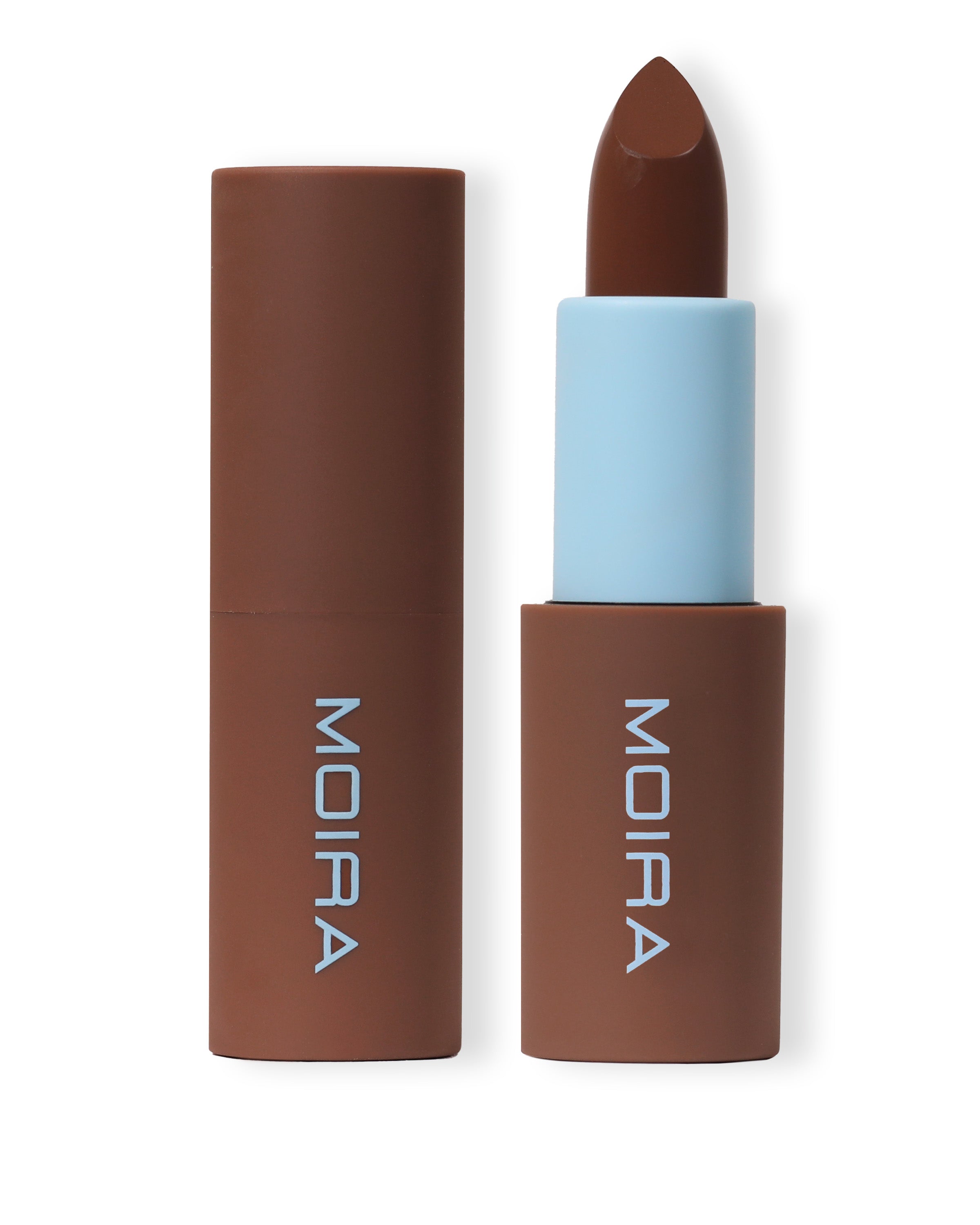 Chic Satin Lipstick