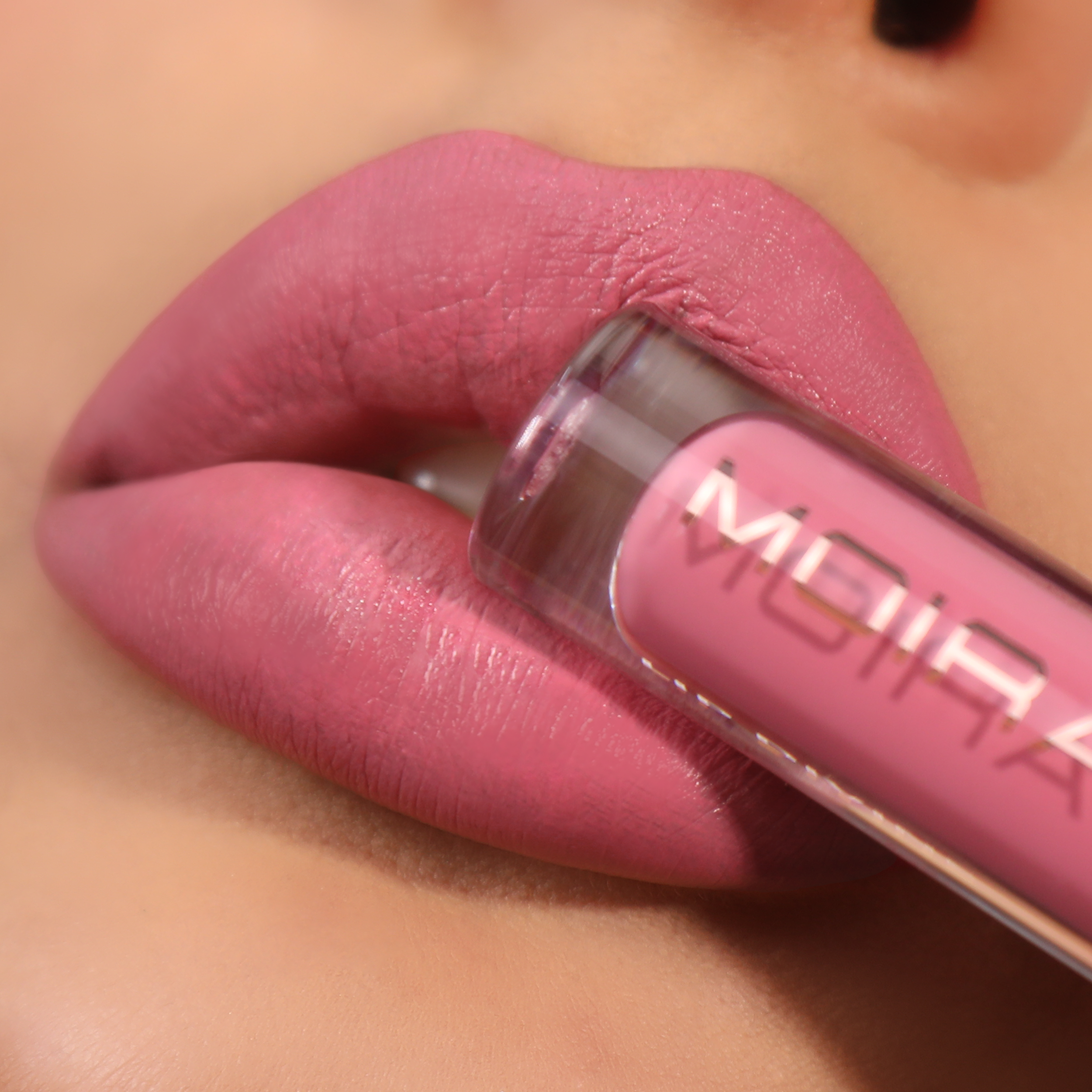 Lip Divine Liquid Lipstick (023, Charm)