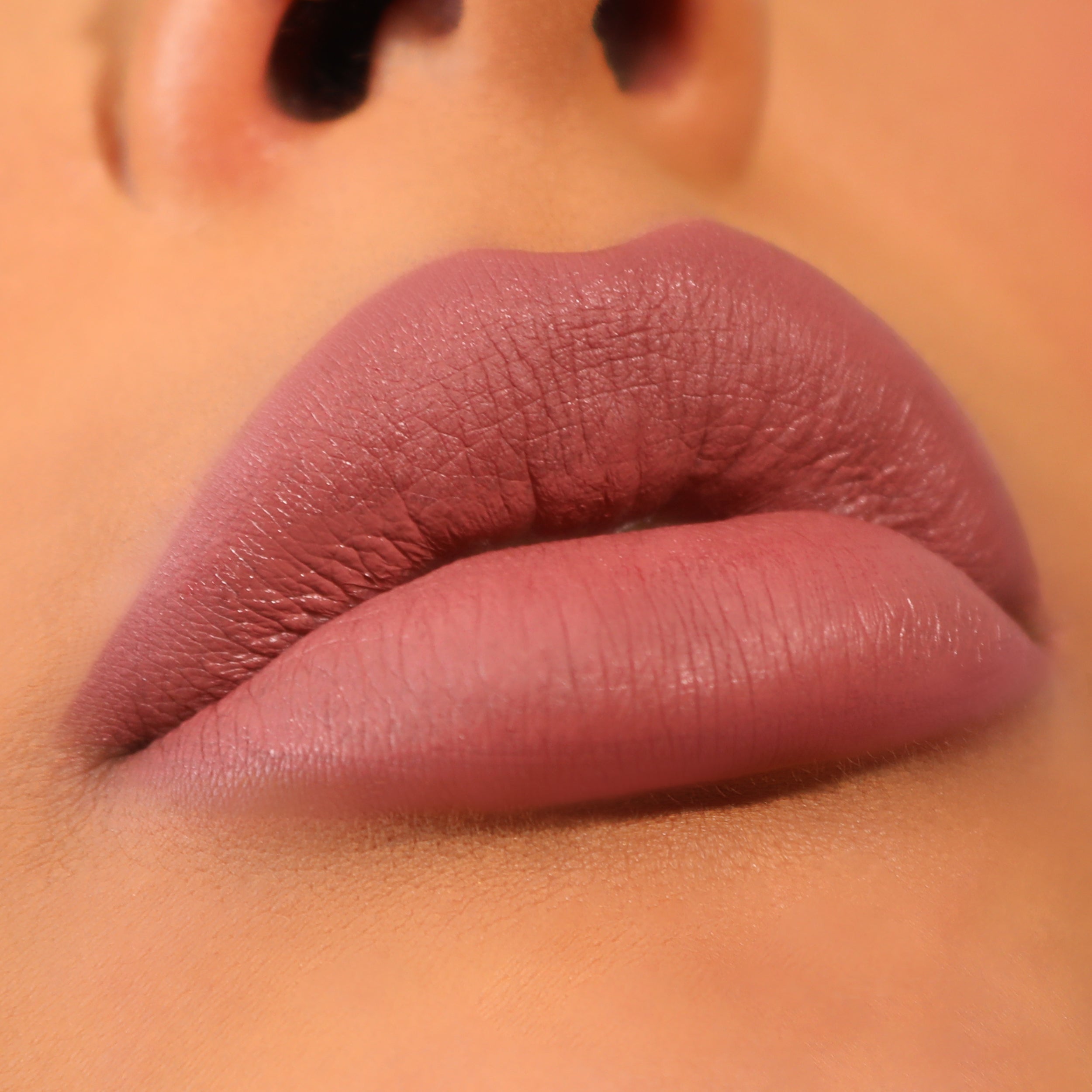 Lip Divine Liquid Lipstick (024, Truth)