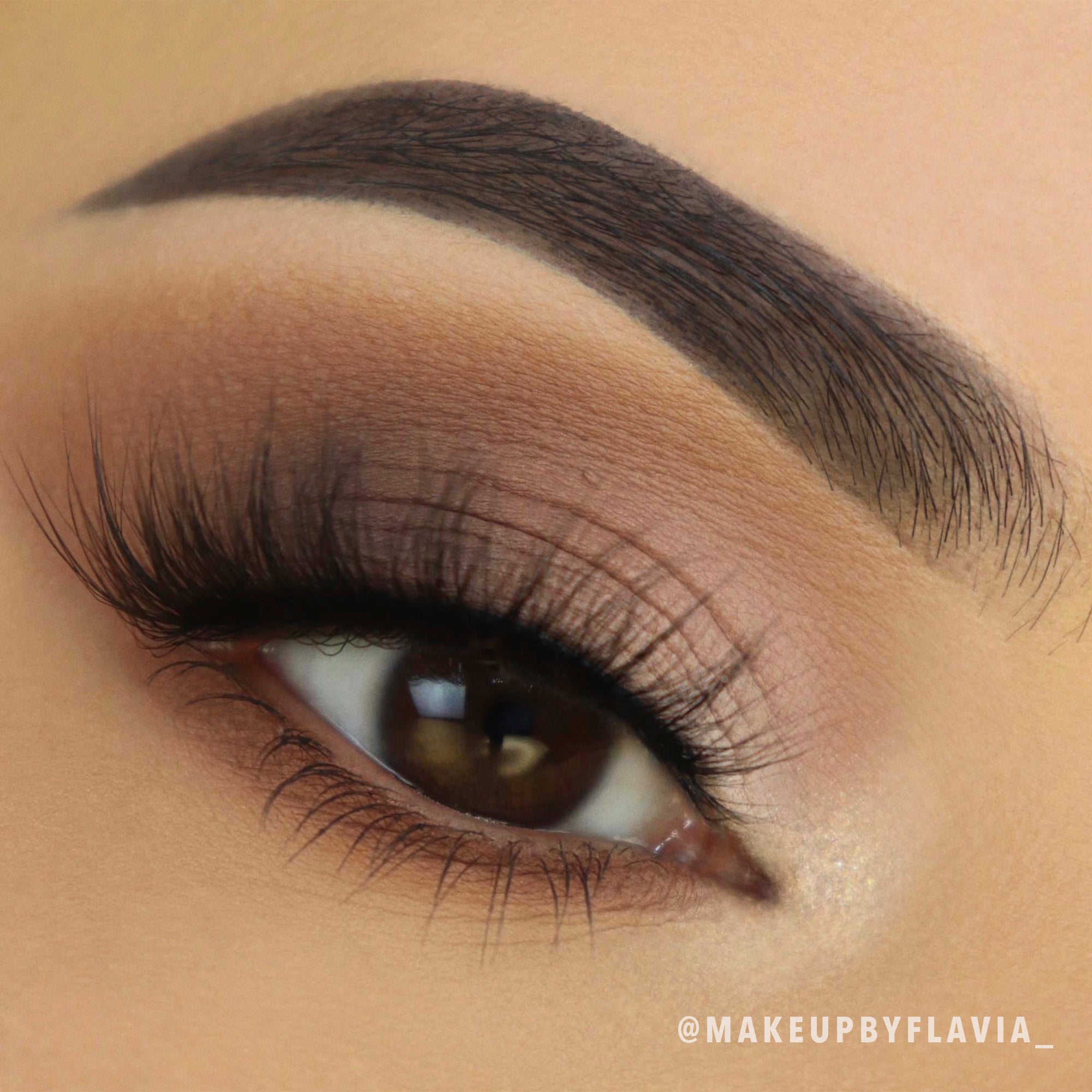 Among The Stars Palette