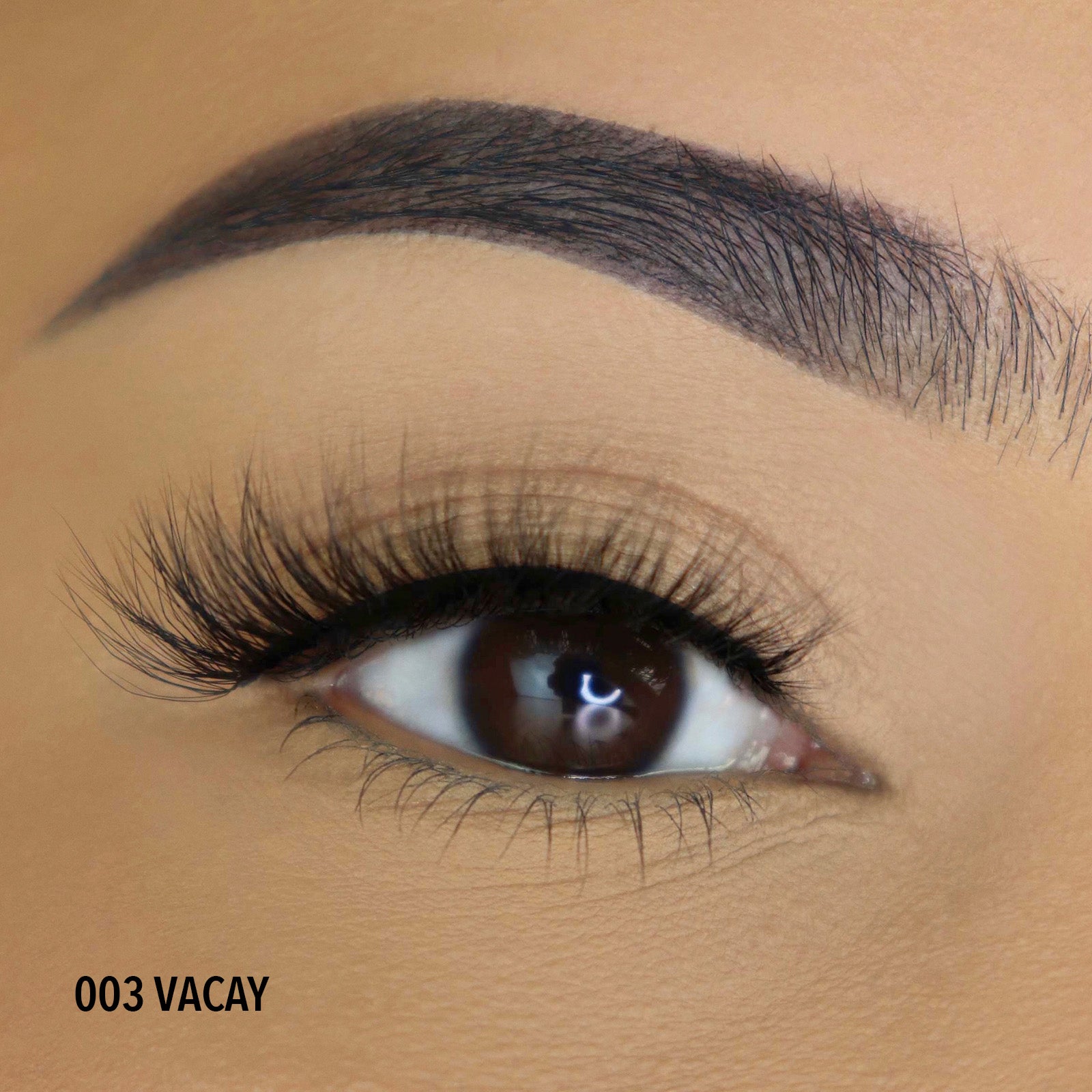 3D Effect Bionic Vegan Faux Mink Lashes (004, Vacay)